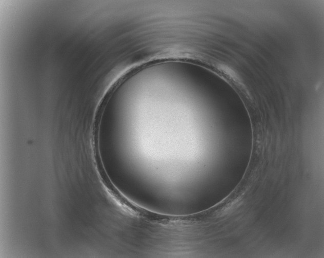 X0000068270942200604281548