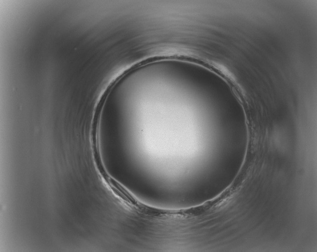 X0000068270943200604281548