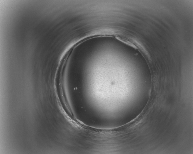 X0000068270944200604281548