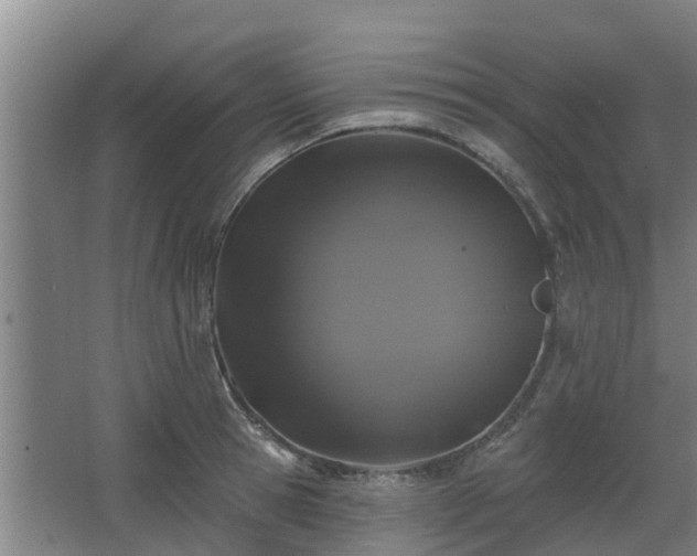 X0000068270945200604281548