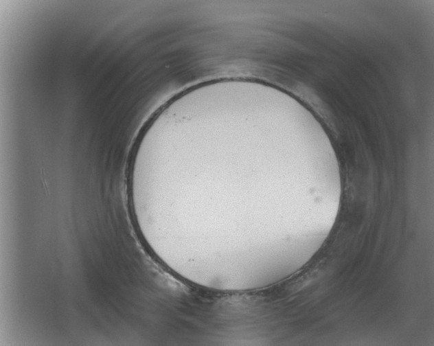 X0000068270950200604281548