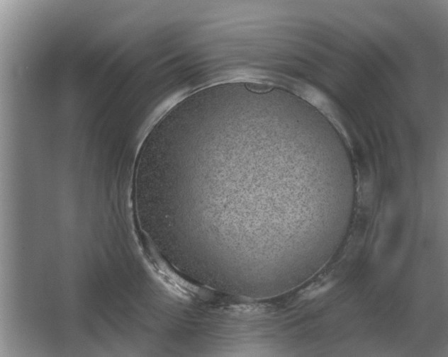 X0000068270954200604281548