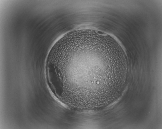 X0000068270957200604281548