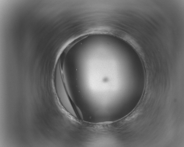 X0000068270960200604281548