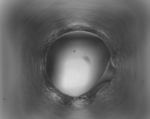 X0000068270965200604281547