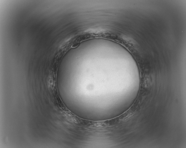 X0000068270966200604281547