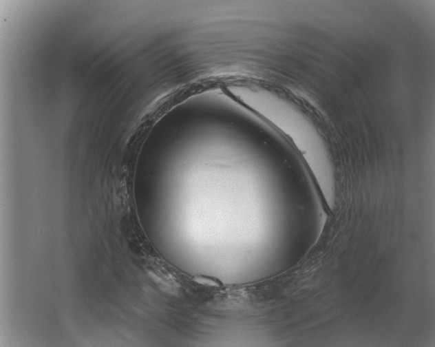 X0000068270968200604281547