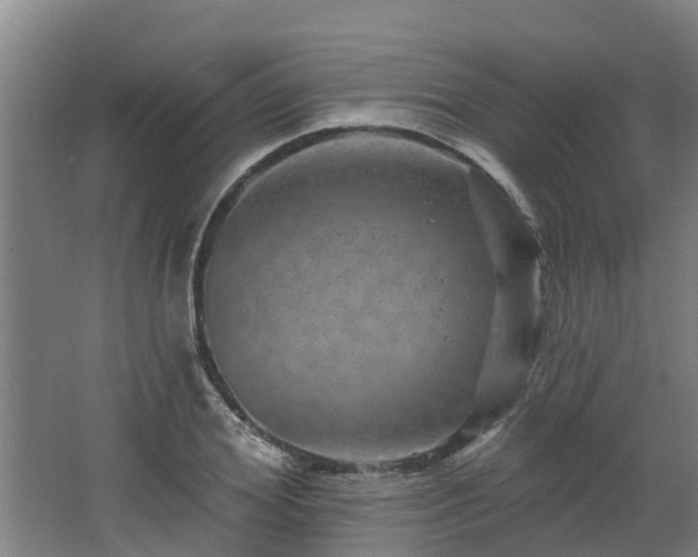 X0000068270980200604281547