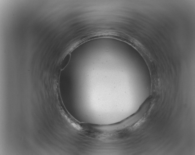 X0000068270985200604281547