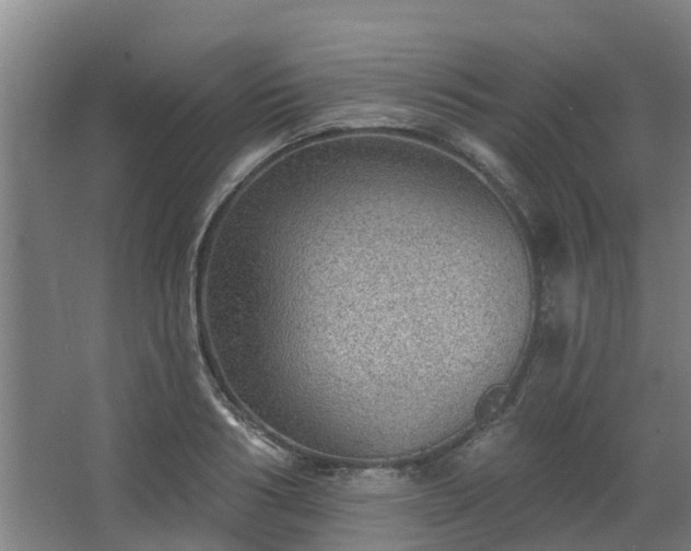 X0000068270986200604281547