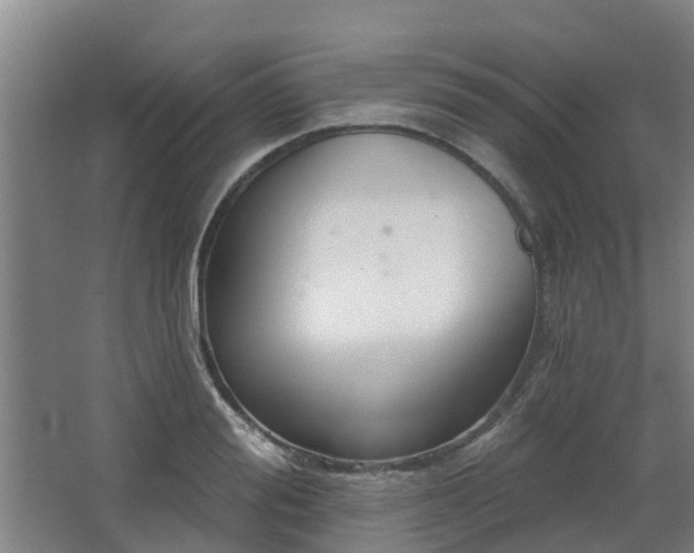 X0000068270988200604281547