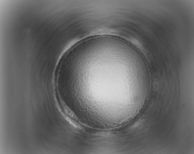 X0000068270990200604281547