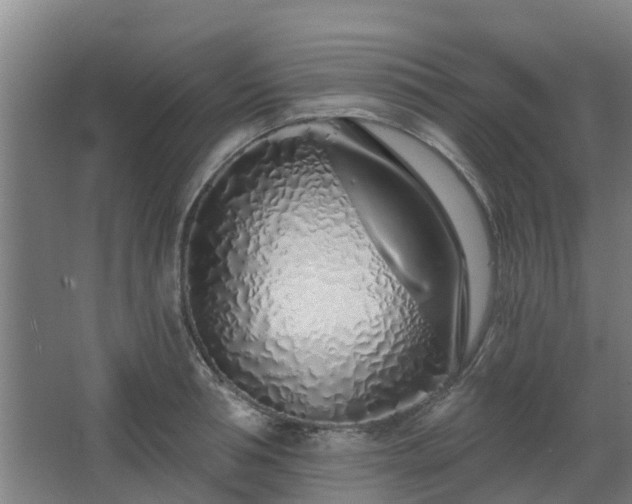 X0000068270994200604281547