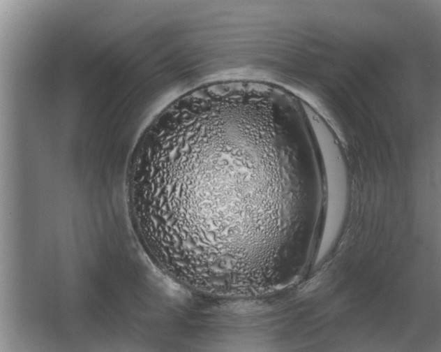 X0000068270998200604281547