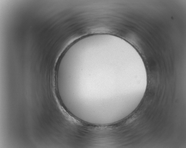 X0000068271000200604281547