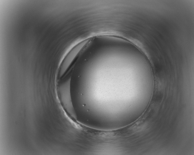 X0000068271006200604281546