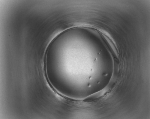 X0000068271007200604281546