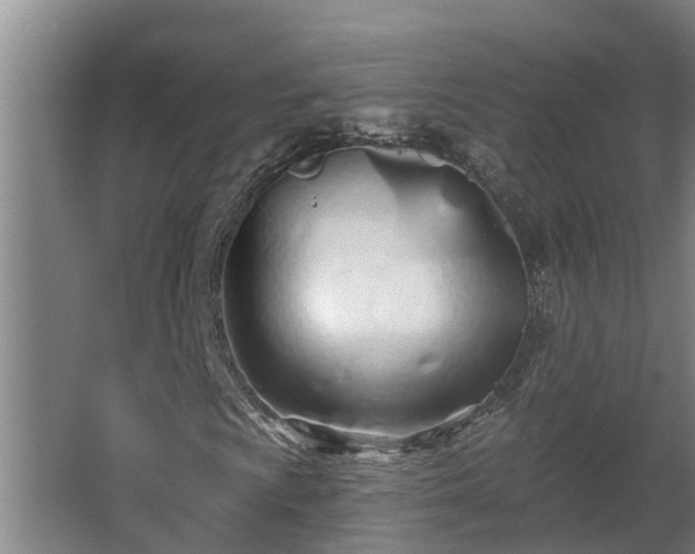 X0000068271009200604281546