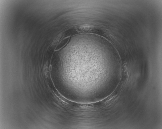 X0000068271011200604281546