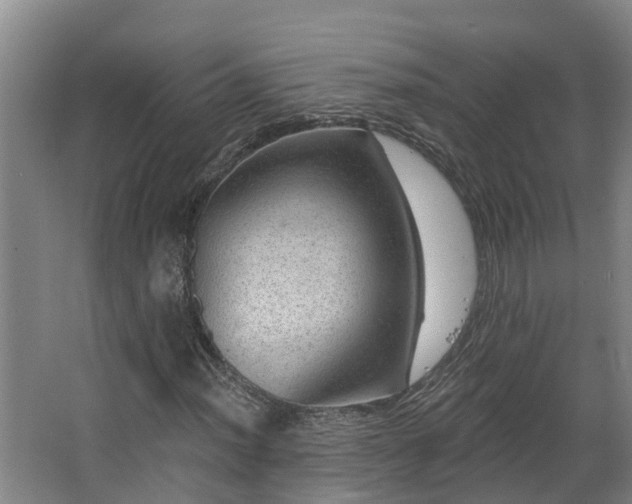 X0000068271012200604281546