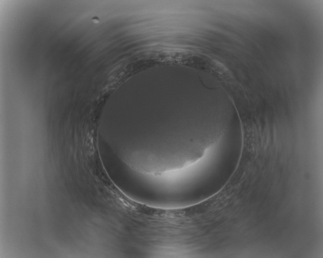 X0000068271013200604281546