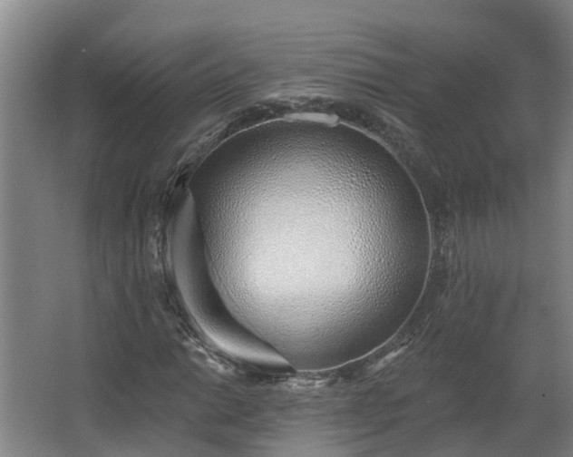 X0000068271014200604281546