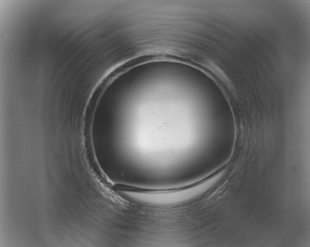 X0000068271020200604281546