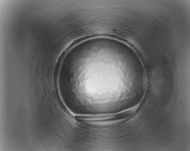 X0000068271023200604281546