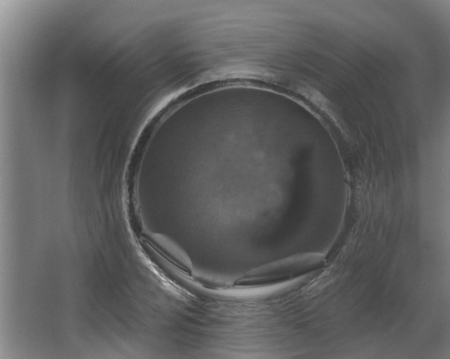 X0000068271024200604281546