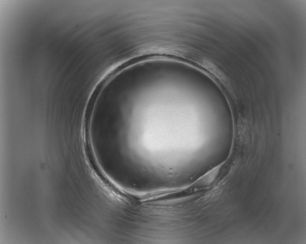 X0000068271028200604281546