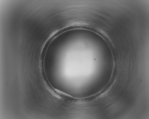 X0000068271029200604281546