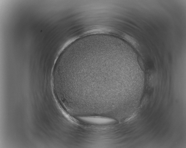 X0000068271034200604281546