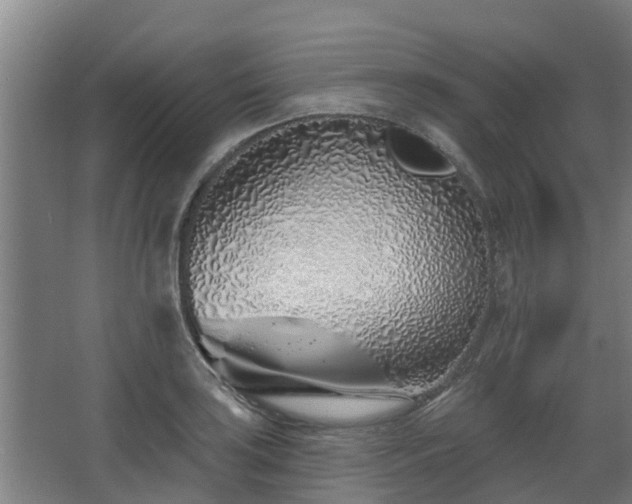 X0000068271035200604281546