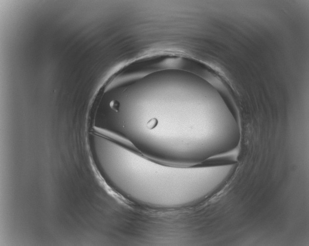 X0000068271038200604281546