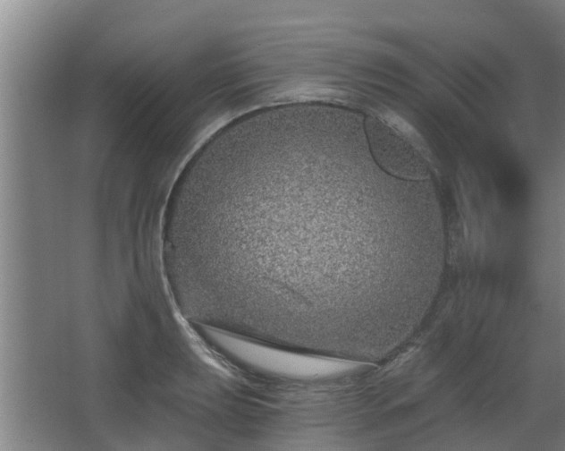 X0000068271039200604281546