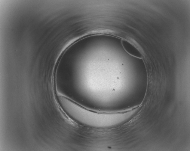 X0000068271044200604281546