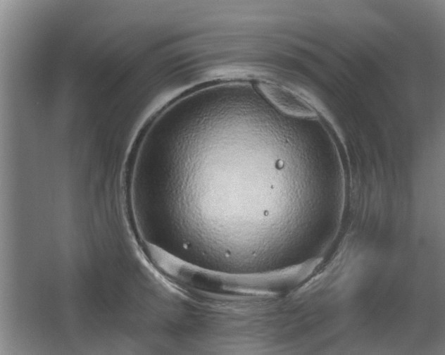 X0000068271045200604281546