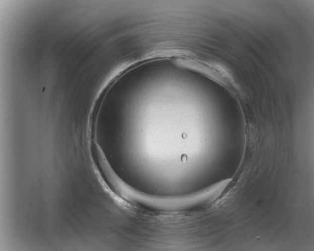 X0000068271046200604281546