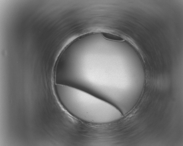 X0000068271048200604281546