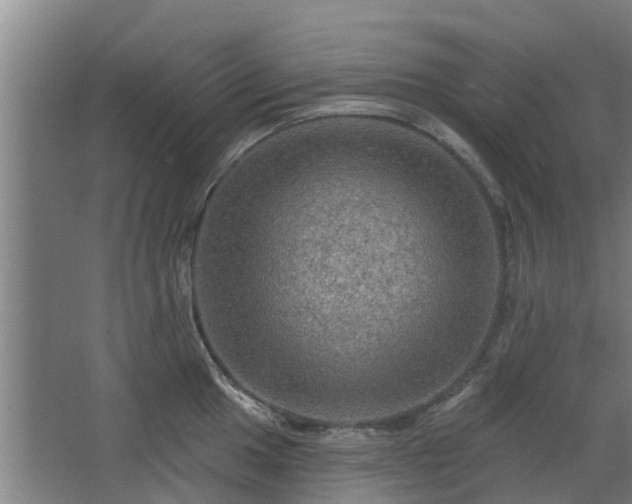 X0000068271049200604281546