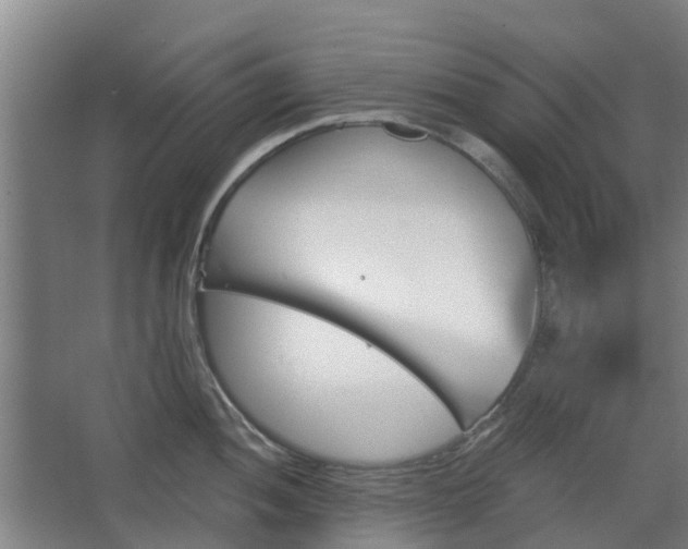 X0000068271052200604281546