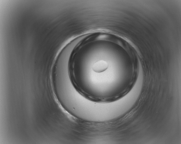 X0000068271054200604281546