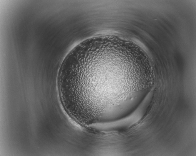 X0000068271055200604281546