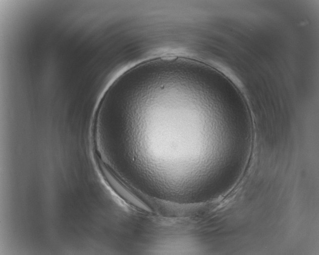 X0000068271056200604281546