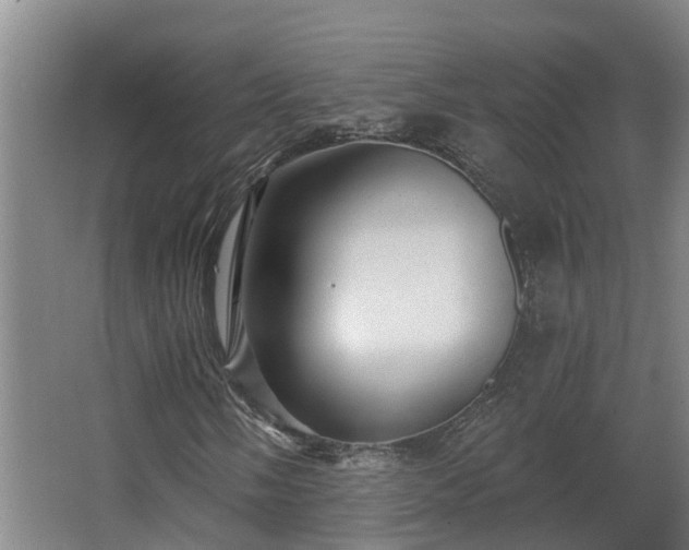 X0000068271058200604281546