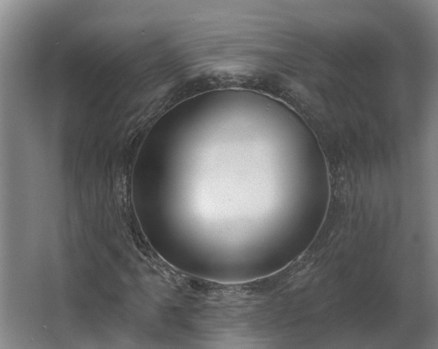 X0000068271061200604281546