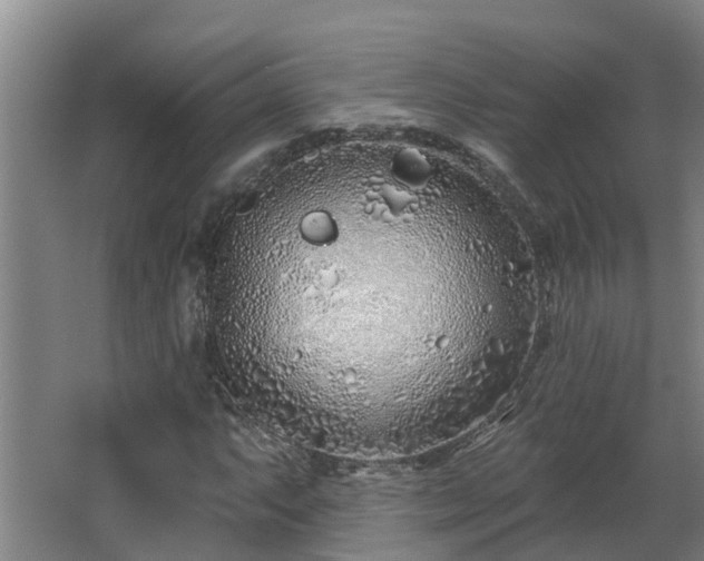 X0000068271063200604281546