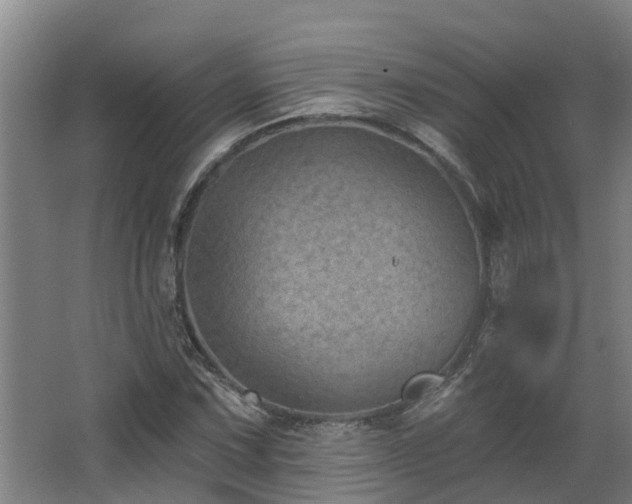 X0000068271067200604281545