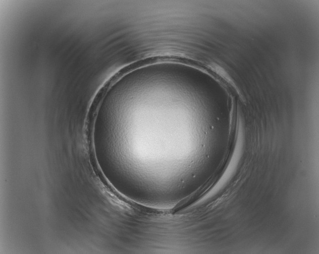 X0000068271068200604281545