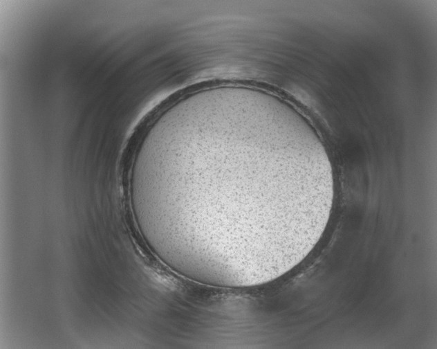 X0000068271070200604281545